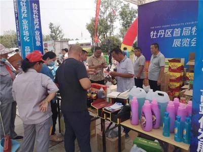 菏泽牡丹区首届牡丹产业展览会今日盛大开幕，礼品花卉销售火热